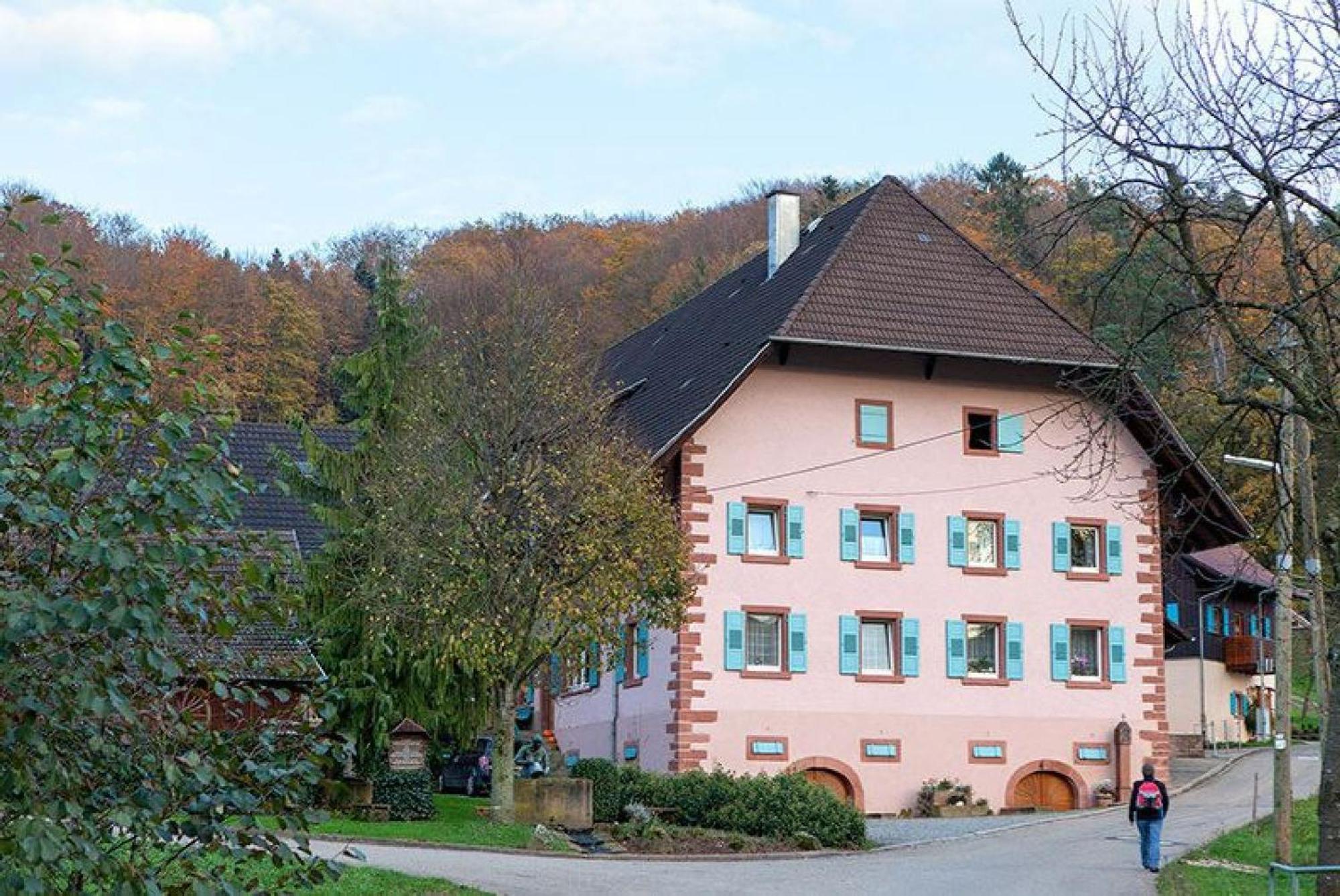 Apartamento Ziegelhof Schuttertal Exterior foto